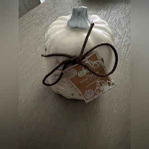 Sugar pie pumpkin decor-bundle/save!